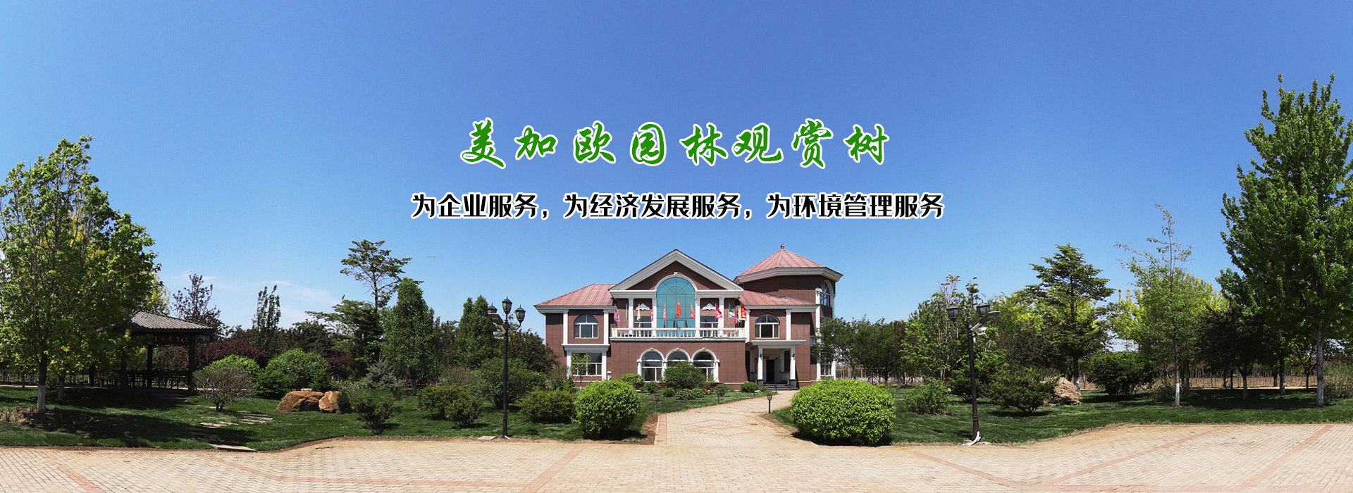 園林觀賞樹