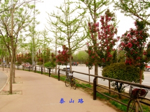 沈陽市泰山路