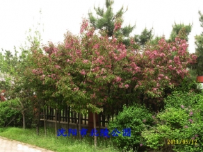 北陵公園