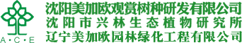 觀賞樹